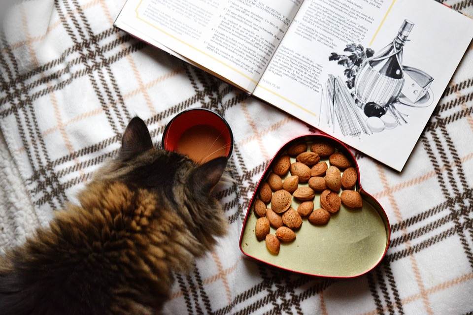 almonds-snack-spring-diet-tips