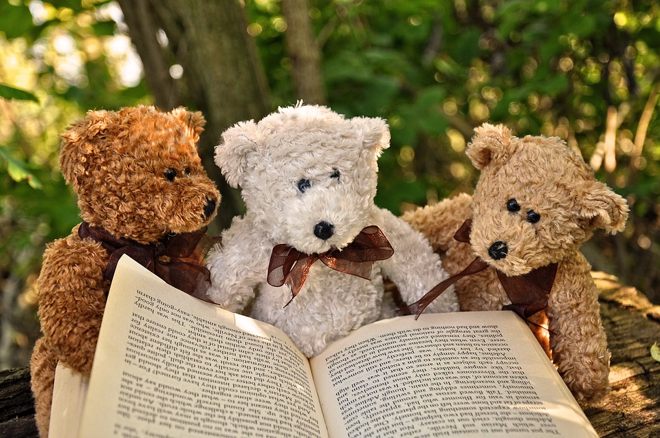 reading a new book